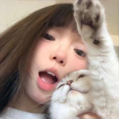 猫和老鼠50周年纪念版